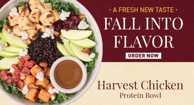 Harvest Chicken Protein Bowl on burgundy and cream surface